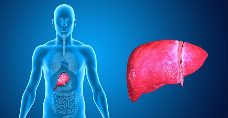 Natural Method to Cleanse Your Liver from Toxins