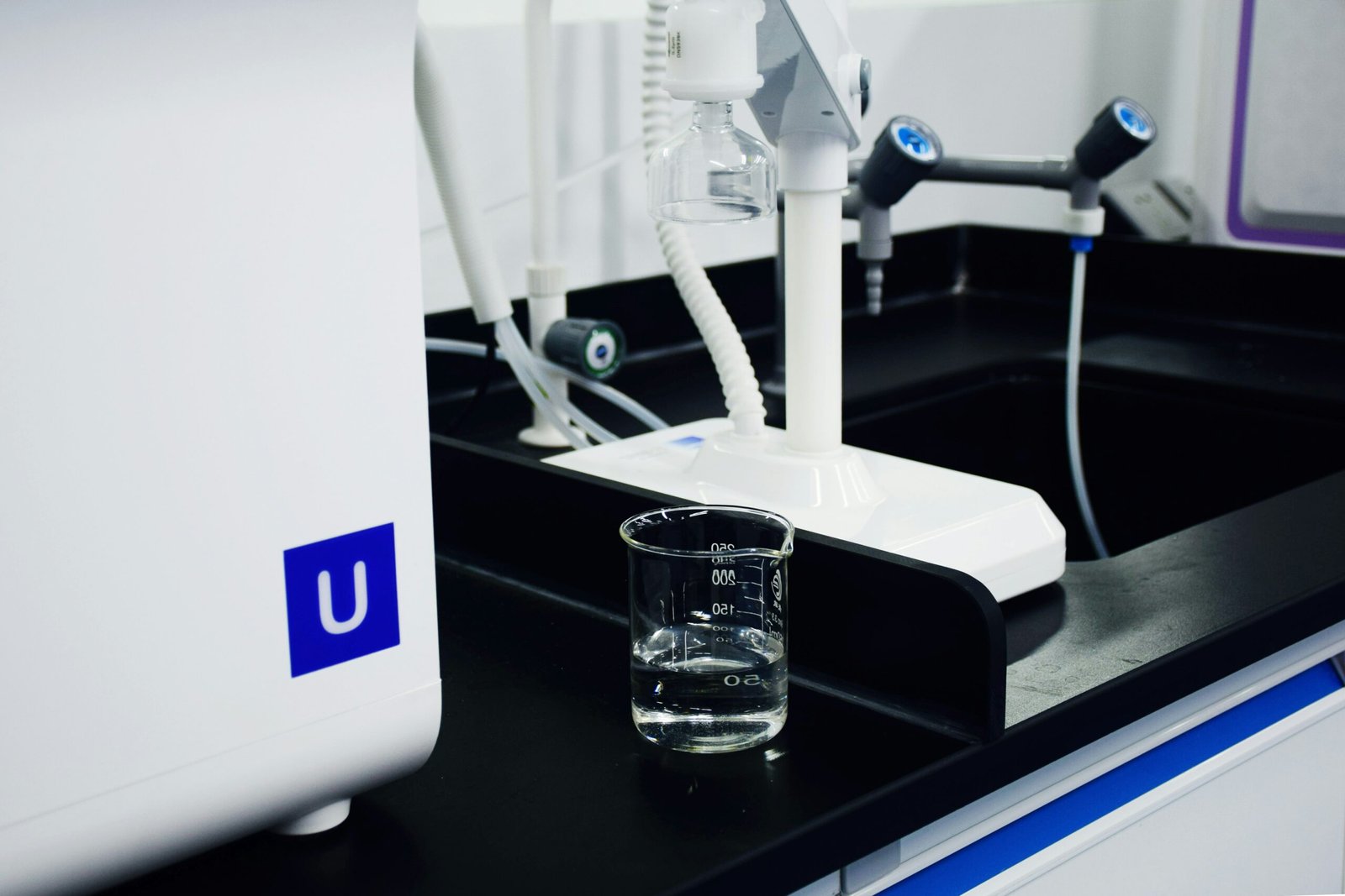Do You Really Drink Water Properly? Analyzing the Effects on Your Body’s Metabolism