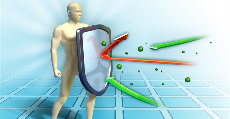 The best way to Assist Your Immune System This Winter
