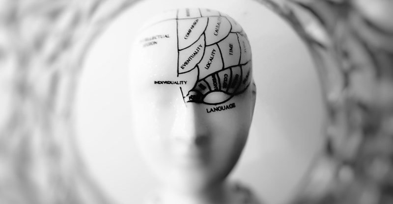 5 Substances To Look For In Your Nootropics