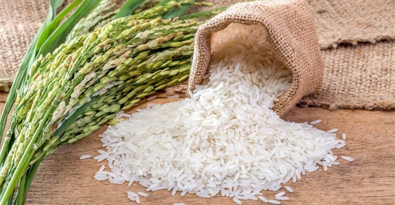 Be taught Extra About Rice And Its Varieties  