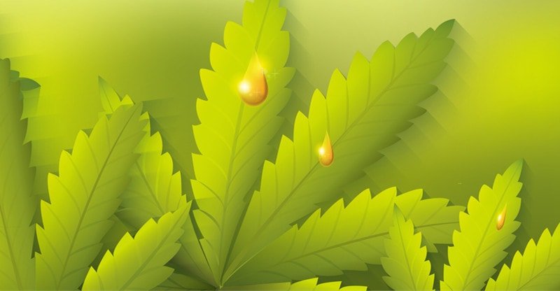 What Is CBD and How Does It Assist Folks?